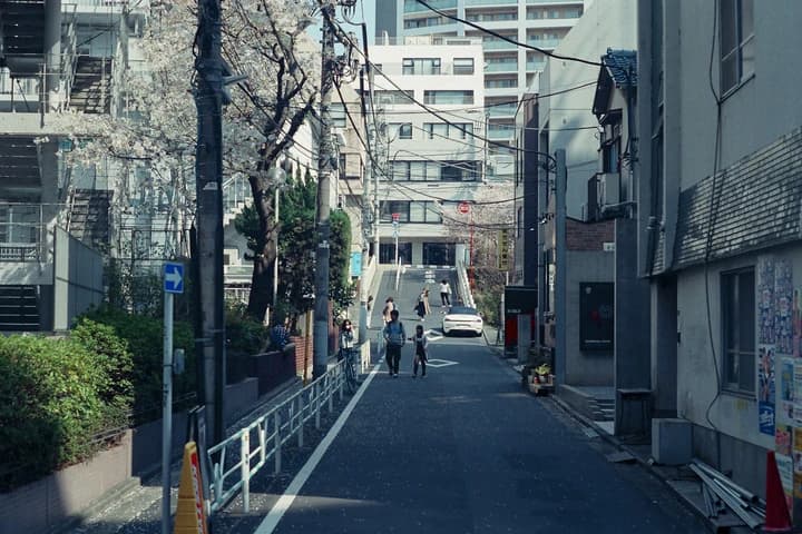建物と木々に挟まれた道