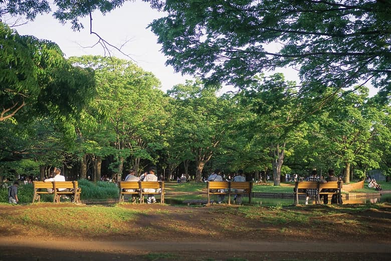 Benches in the park