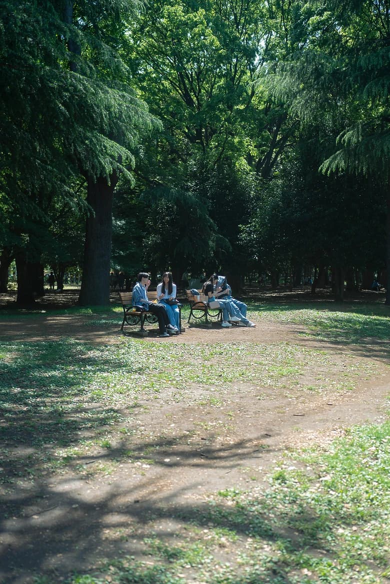 A path beneath the trees