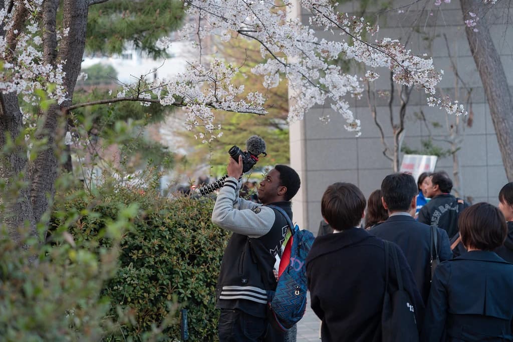 花にカメラを向ける人たち